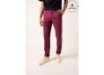 Couleur PRUNE