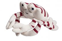 ARAIGNÉE peluche Saint James